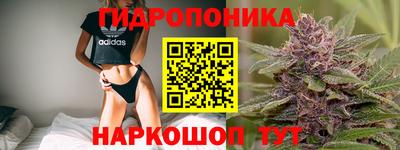 ГАЛЛЮЦИНОГЕННЫЕ ГРИБЫ Лесосибирск