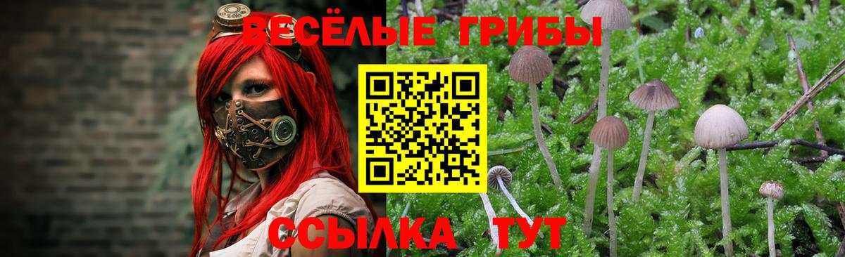 Галлюциногенные грибы Cubensis Югорск